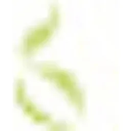 Tanmia logo