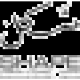 Shape Architecture logo