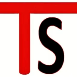 The Store logo