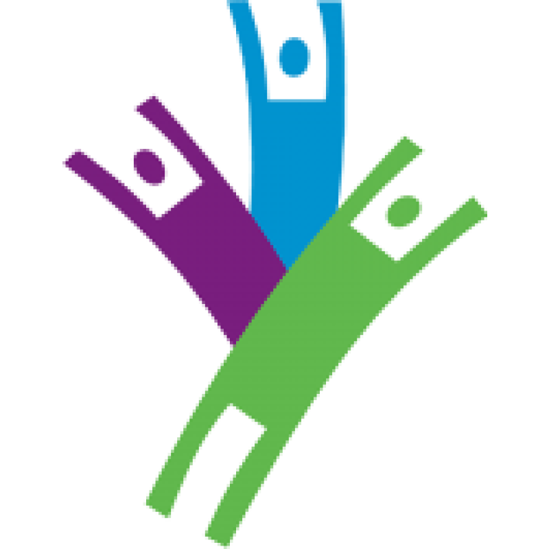 The Middle East Arthritis Foundation 2024 logo