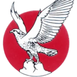 National Cement logo