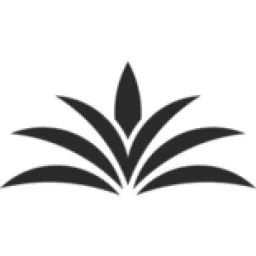 Emirates National Investment logo