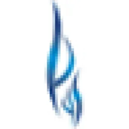 DAS Holding logo