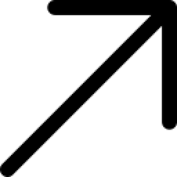 Singapore Visa logo