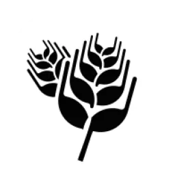PappaRoti logo