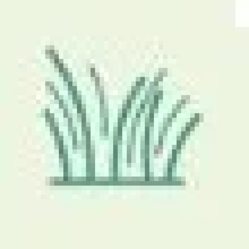 Artificial Grass dubai logo