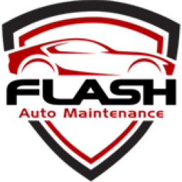 Flash logo