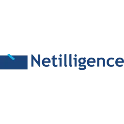 Netilligence logo