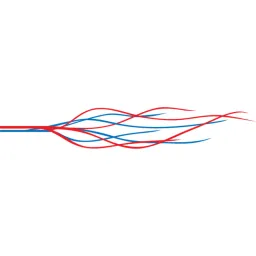 vascular logo