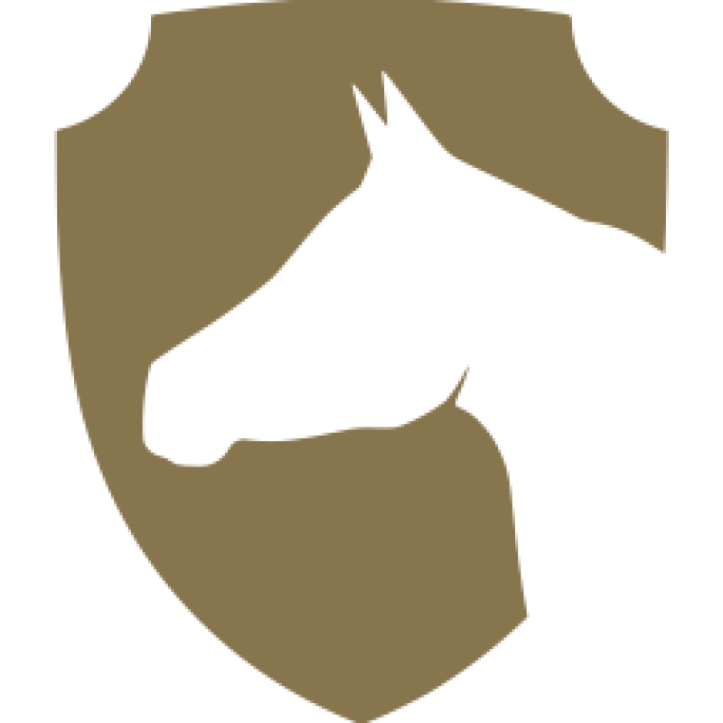 Rabdan Academy FAQs An error has occurred logo