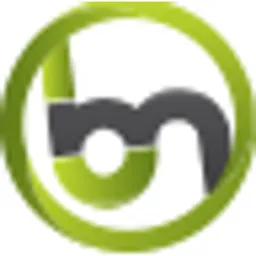 Benchmark Digital Solutions ® window logo