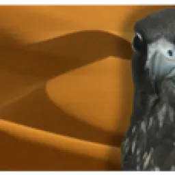 Nad Al Shiba Avian Reproduction Research Centre logo