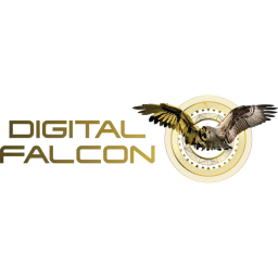 Digital Falcon logo