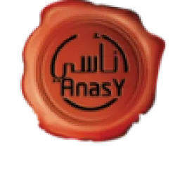 Anasy Media logo