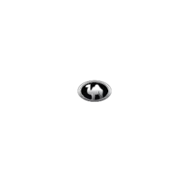 Alqaswa logo