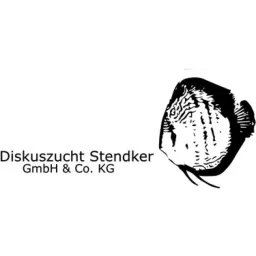 Discus.ae logo