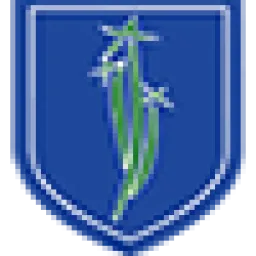 RISS logo