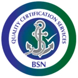 BSN logo