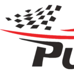 Pure Speed Performance logo