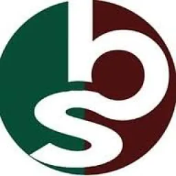 bsaccountants logo