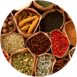 PULSE INDIA logo