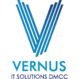 Vernus IT Solution logo