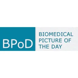 Bpod logo