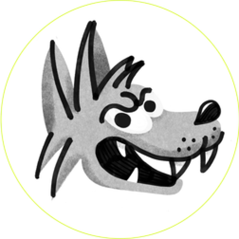 COYOTE