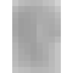 The New Desert Springs FZC logo