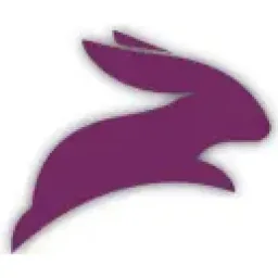 Rabbit Digital Branding Solutions logo