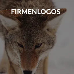 lonesome wolf agency logo