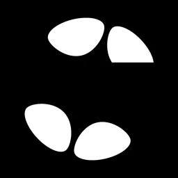 Boolsi logo