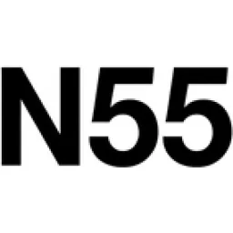 N55 logo