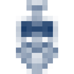 Wits logo