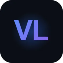 Valuagency logo