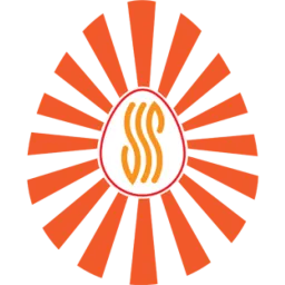 Ssportals logo