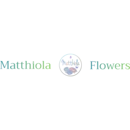 Matthiolaflowers logo