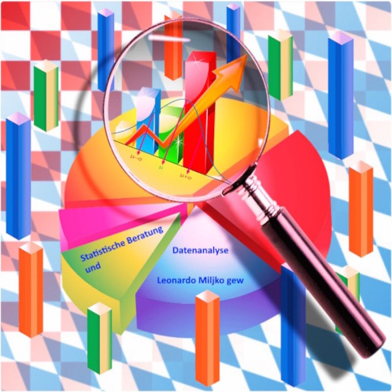 Statistical Agency
