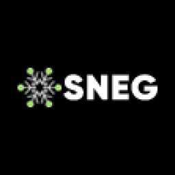 SNEGAGENCY logo