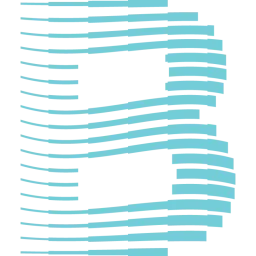 Brighter Signals logo