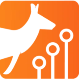 Canberra IT Services logo