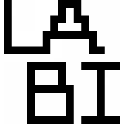 Saloni LABI logo