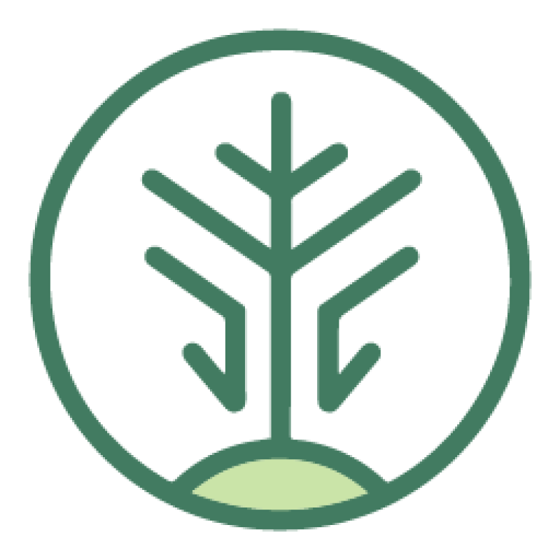 livingcarbon.com