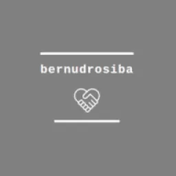 Bernu Dro&scaron;iba - logo