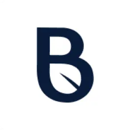 Banyan Infrastructure logo