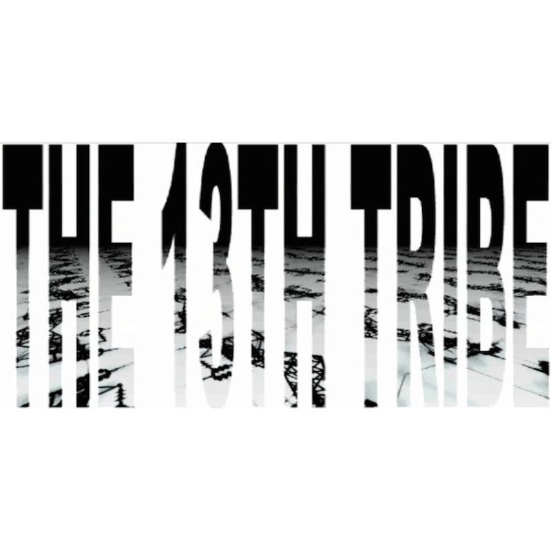 The13Thtribe