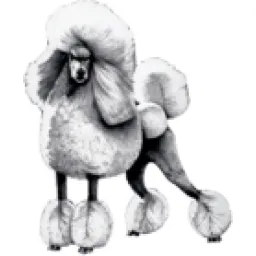 Pudelek.pl - Plotki, Gwiazdy, Sensacja logo