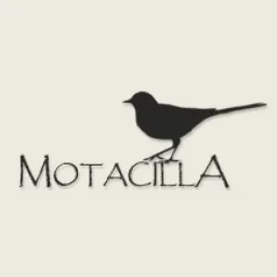 Motacilla logo