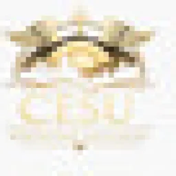 Viss logo
