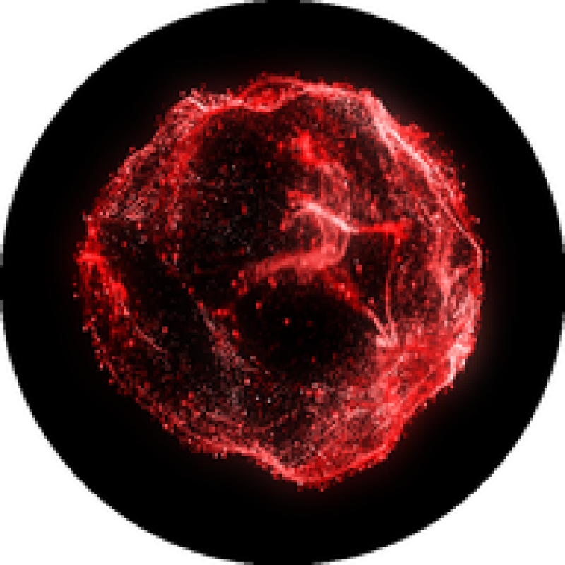 blog.cyber.fund